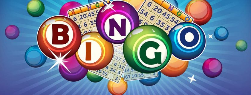 Bingo is coming back!